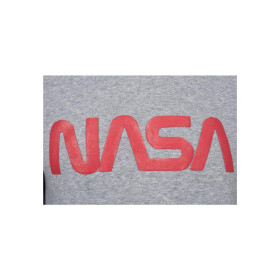 Mister Tee Ladies NASA Worm Logo Hoody, h.grey