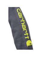 CARHARTT Midweight Signature Sleeve Logo Hooded Sweatshirt, anthrazit