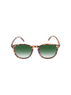 Sunglasses Arthur Youth, havanna/green
